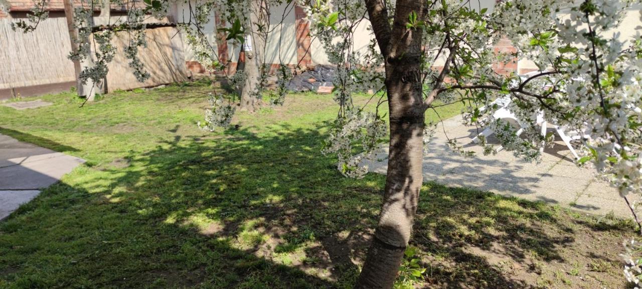 Orsi Apartman / Vendeghaz Kecskemet Bagian luar foto