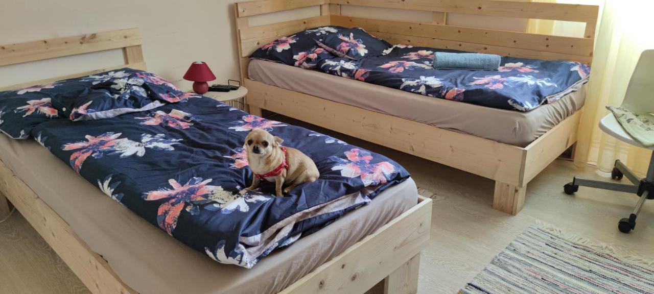 Orsi Apartman / Vendeghaz Kecskemet Bagian luar foto