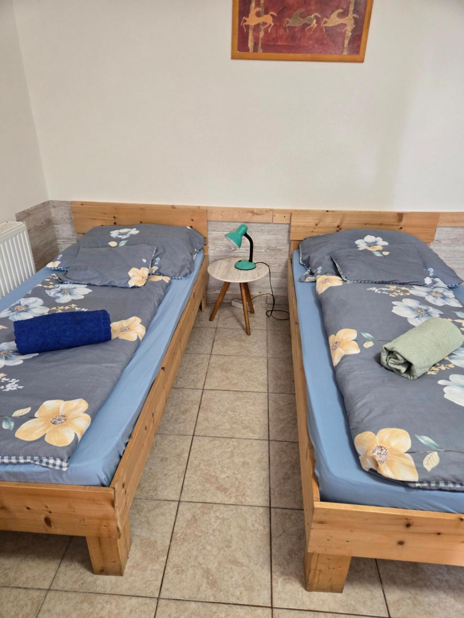 Orsi Apartman / Vendeghaz Kecskemet Bagian luar foto